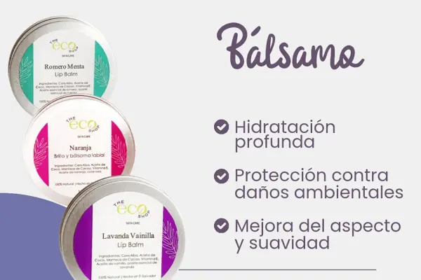Imagen de The Eco Shop